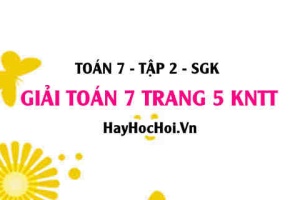 Giải Toán 7 trang 5 Kết nối tri thức Tập 2 SGK